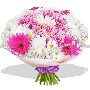 Воздушный букет бело-розовых оттенков из гербер и хризантем